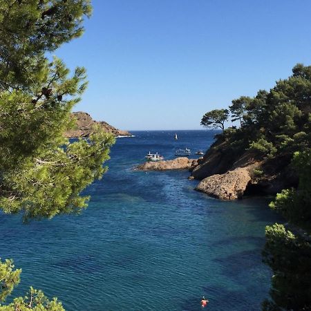 Le Pesquier La Ciotat Exterior foto
